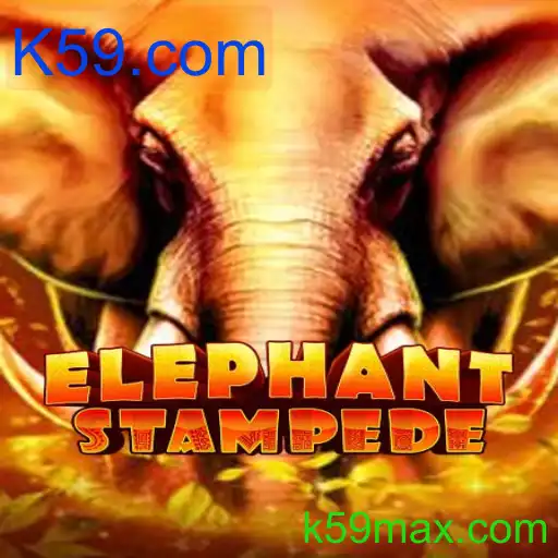 ElephantStampede
